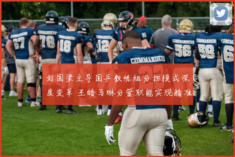 刘国梁主导国乒教练组分担模式深度变革 王皓马琳分管职能实现精准化新分工