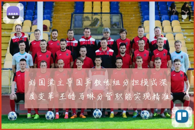 刘国梁主导国乒教练组分担模式深度变革 王皓马琳分管职能实现精准化新分工
