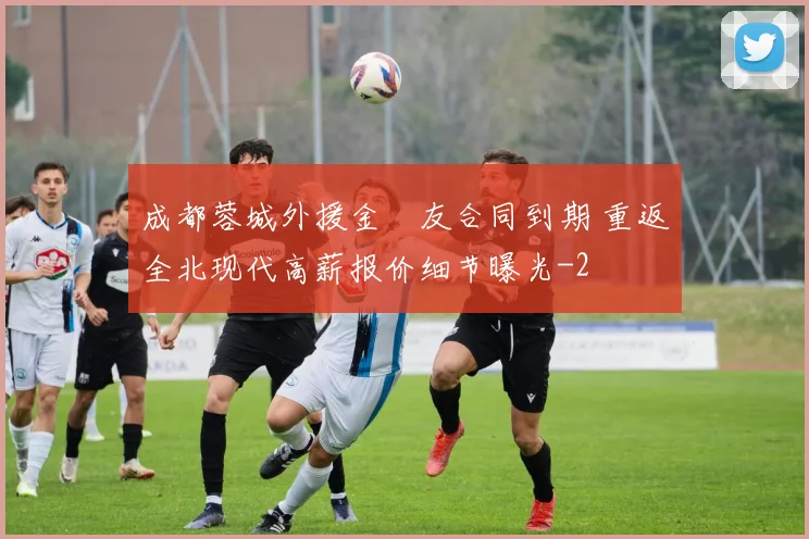 成都蓉城外援金敃友合同到期 重返全北现代高薪报价细节曝光